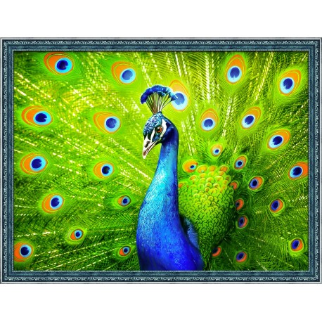 Diamond Painting Pauw