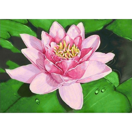 Diamond Painting Lotus op het meer