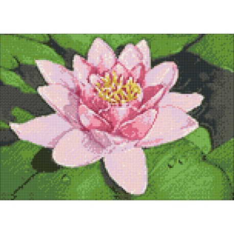 Diamond Painting Lotus op het meer