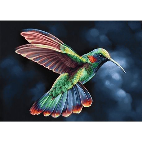 Diamond Painting Colibri