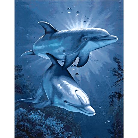 Diamond Painting Dolfijnen Koppeltje