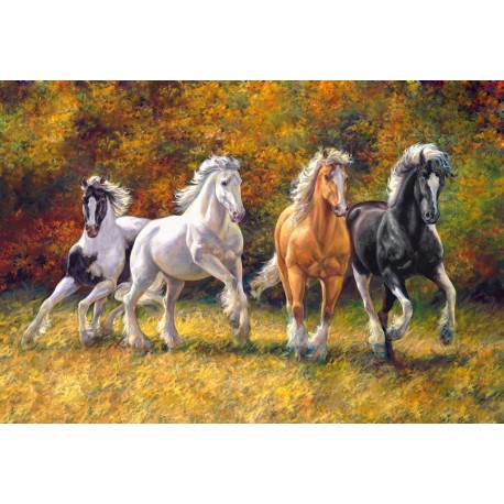 Diamond Painting 1 meter breed Gallop