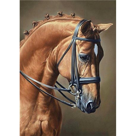 Diamond Painting Elegant Paard