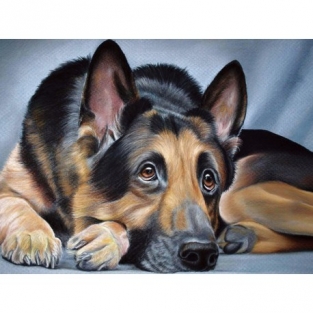 Diamond Painting Duitse Scheper