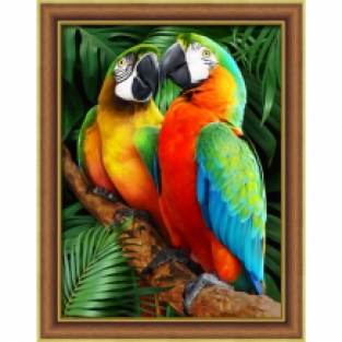 Diamond Painting Papegaaien in de Jungle