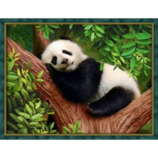 Diamond Painting Slapende Panda