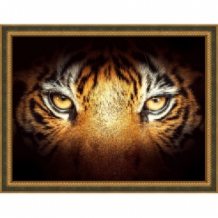 Diamond Painting The Eye of the Tiger
