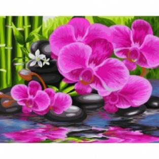 P.B.N. Oosterse Tuin