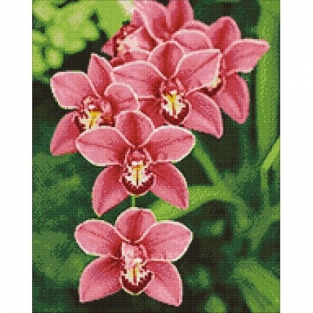 Diamond Painting Orchidee